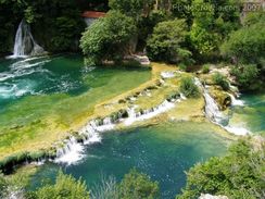 7-krka.jpg