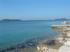 Barbagianni Spiaggia Davanti la Casa