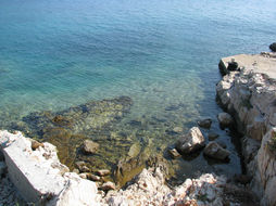 Peter Pan Scogli Rocks